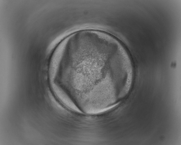 X0000113001504200909171353