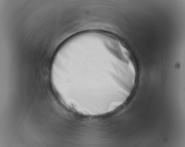 X0000113001505200909171353