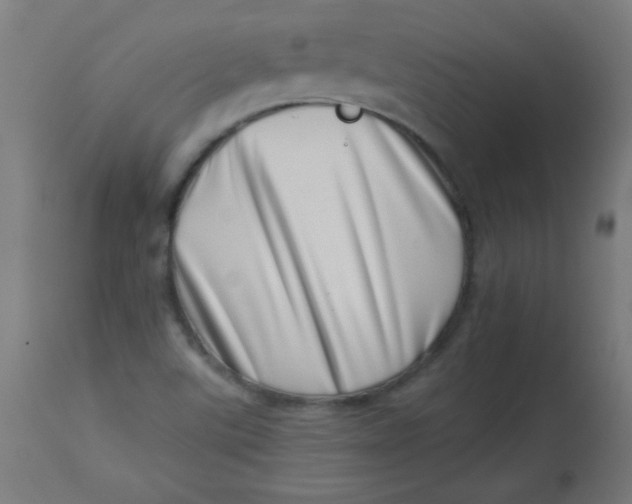 X0000113001507200909171353