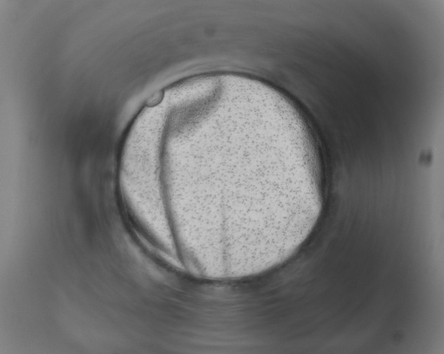 X0000113001508200909171353