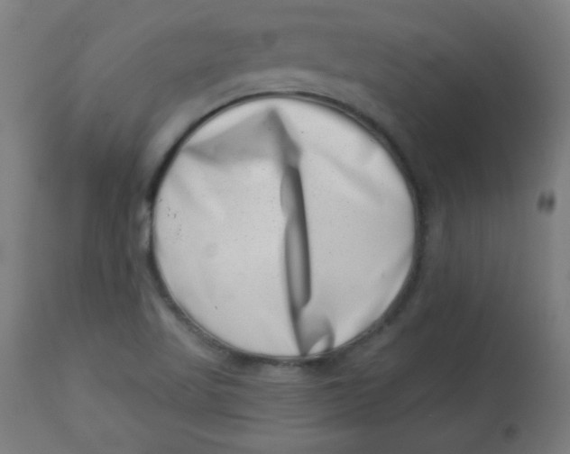 X0000113001509200909171353