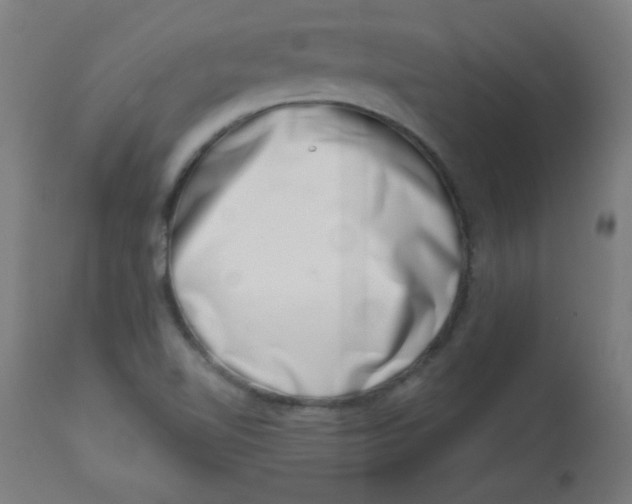 X0000113001510200909171353