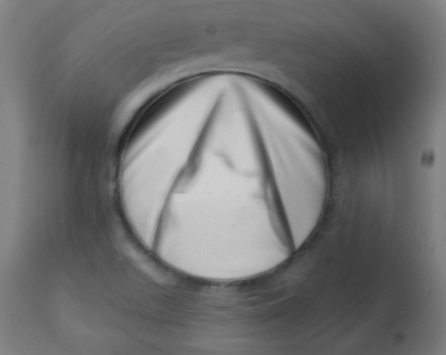 X0000113001511200909171353