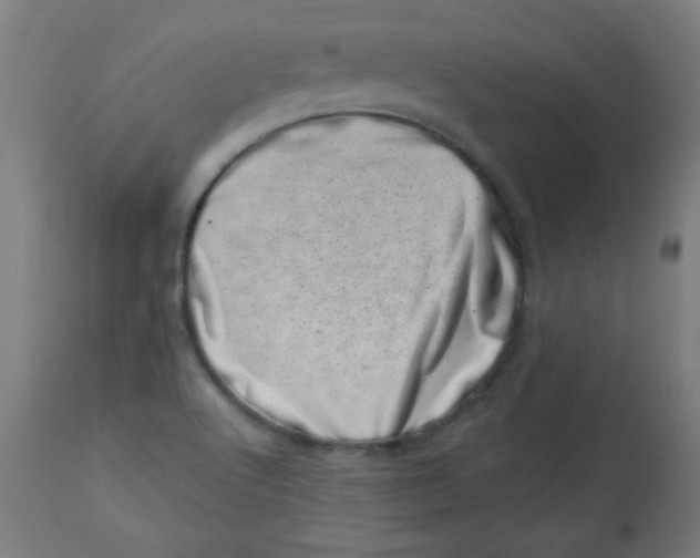 X0000113001512200909171354