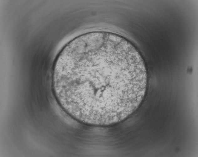 X0000113001514200909171354