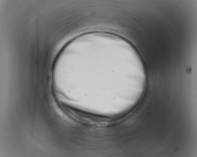 X0000113001515200909171354