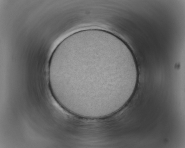 X0000113001516200909171354