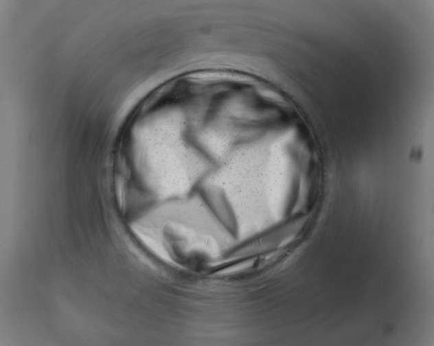 X0000113001517200909171354