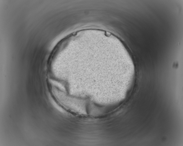 X0000113001519200909171354