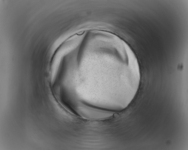 X0000113001520200909171354