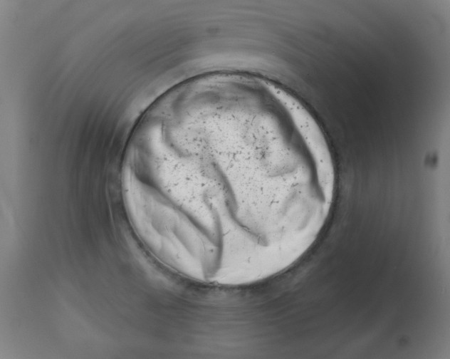 X0000113001521200909171354