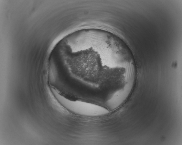 X0000113001522200909171354