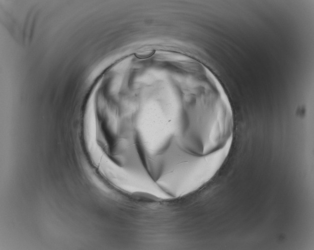 X0000113001523200909171354