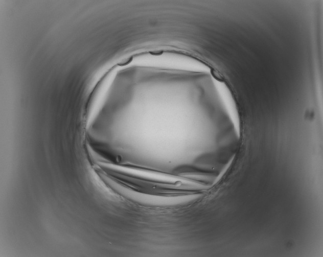 X0000113001524200909171354