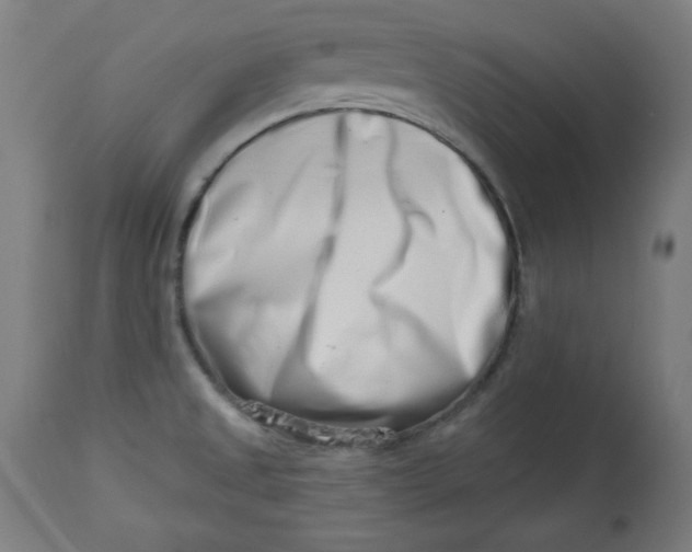 X0000113001525200909171354