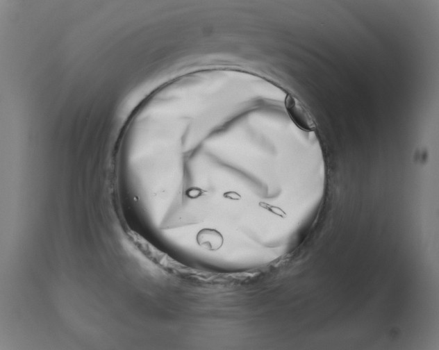 X0000113001527200909171354