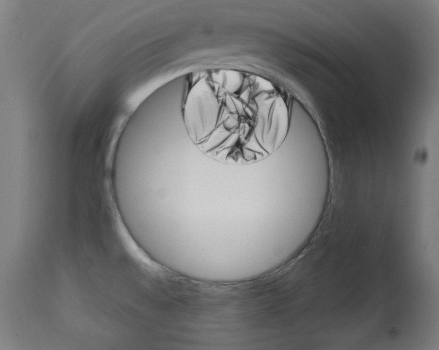 X0000113001528200909171354