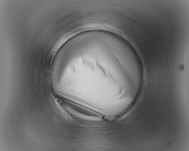 X0000113001529200909171354