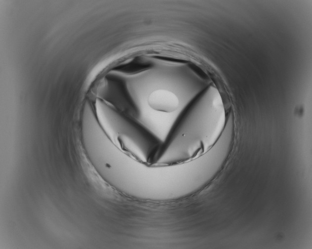 X0000113001530200909171354