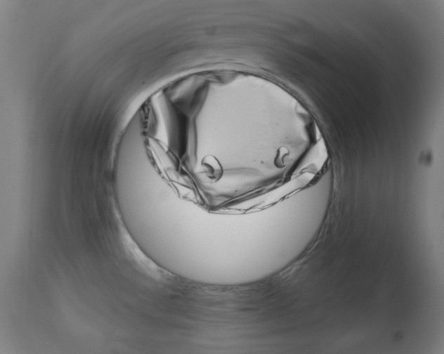 X0000113001532200909171354