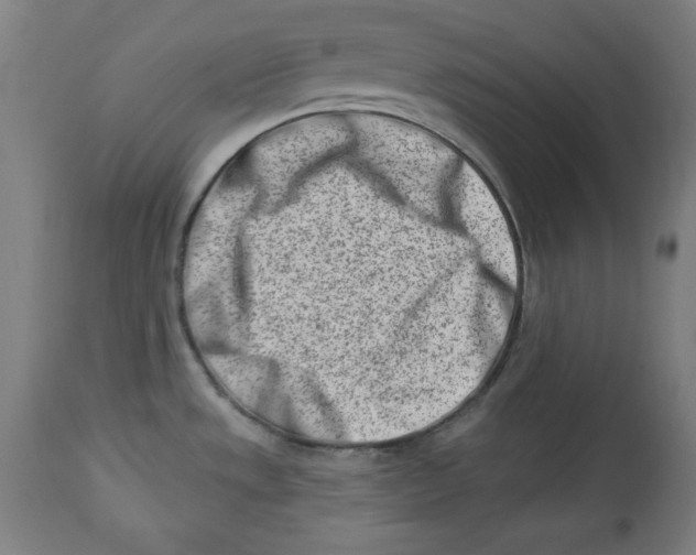 X0000113001533200909171354