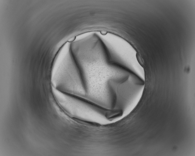 X0000113001534200909171354