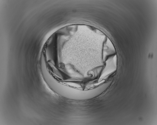 X0000113001536200909171354