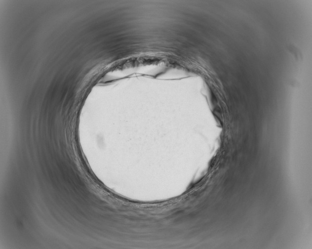 X0000113000001200909241311