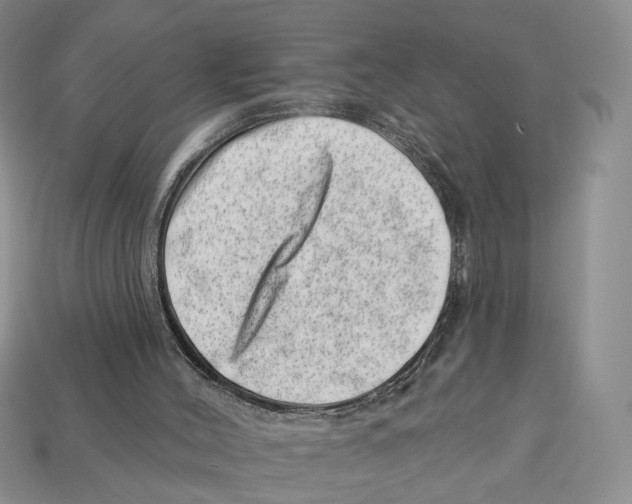 X0000113000004200909241311