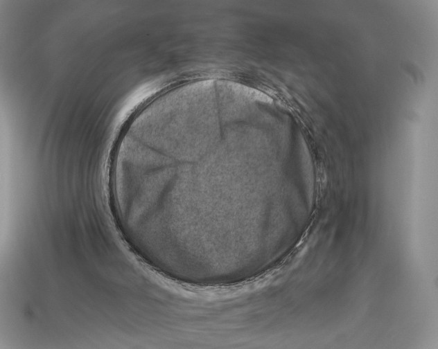 X0000113000006200909241311