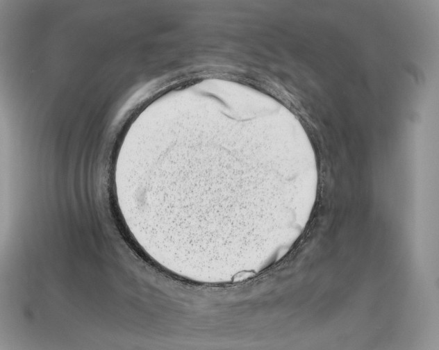 X0000113000007200909241311