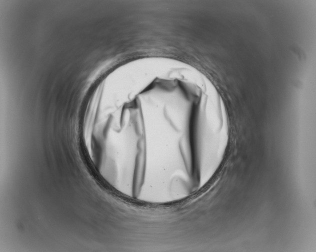 X0000113000008200909241311