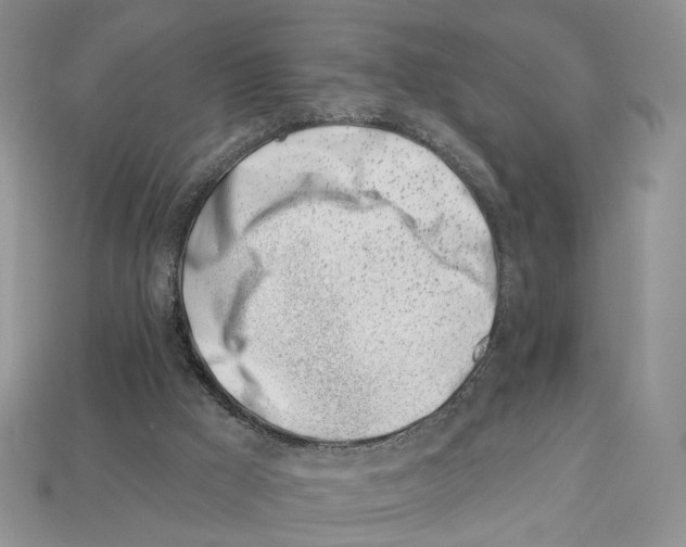 X0000113000009200909241311