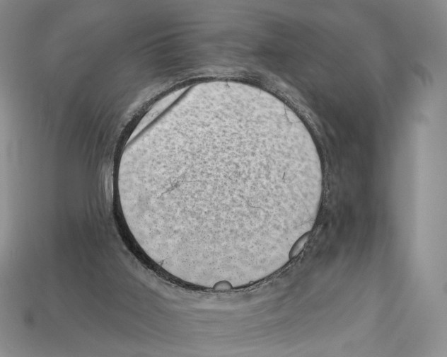 X0000113000011200909241311