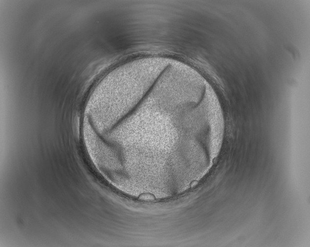 X0000113000014200909241311