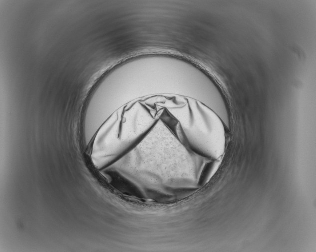 X0000113000015200909241311