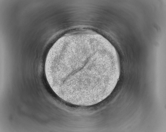 X0000113000016200909241311