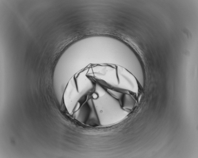 X0000113000017200909241311