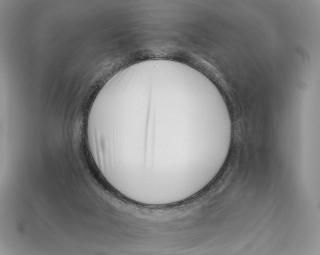 X0000113000018200909241311