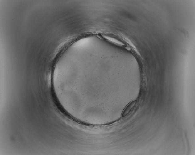 X0000113000019200909241311