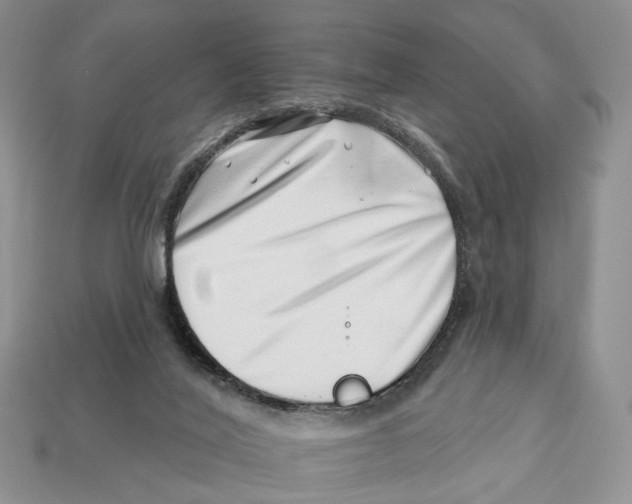 X0000113000020200909241311