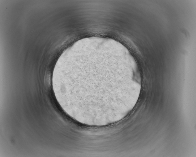 X0000113000021200909241311