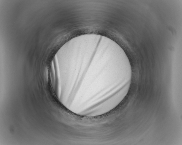 X0000113000022200909241311