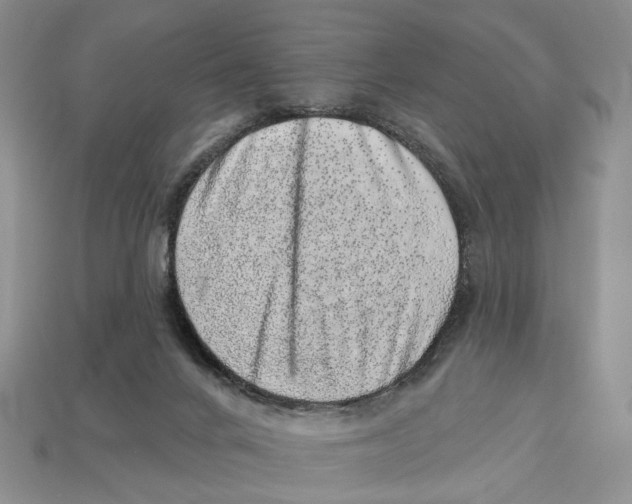 X0000113000024200909241311