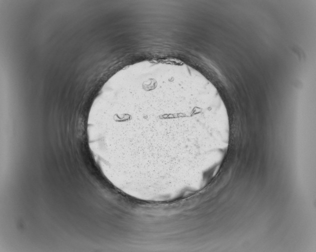 X0000113000025200909241311