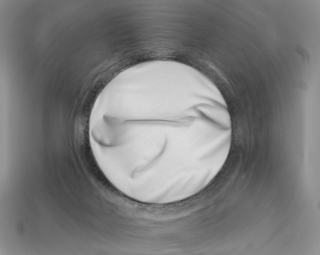 X0000113000026200909241311