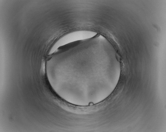 X0000113000027200909241311