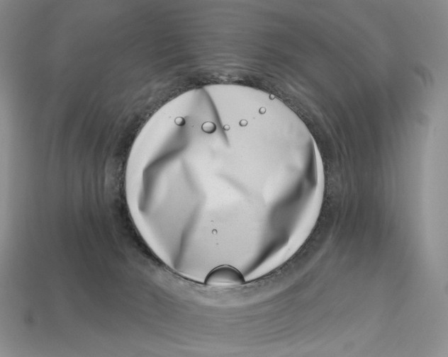 X0000113000030200909241311