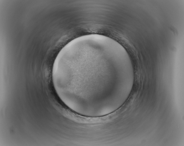 X0000113000031200909241311