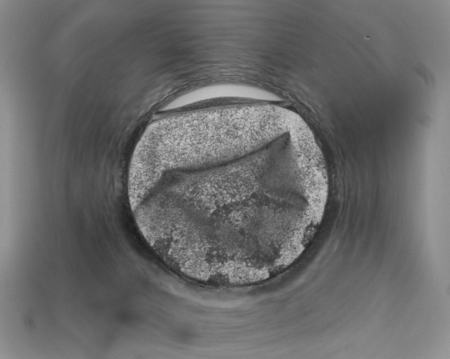 X0000113000032200909241311